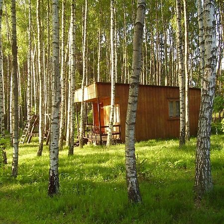Domek W Borkowie Борково Екстериор снимка